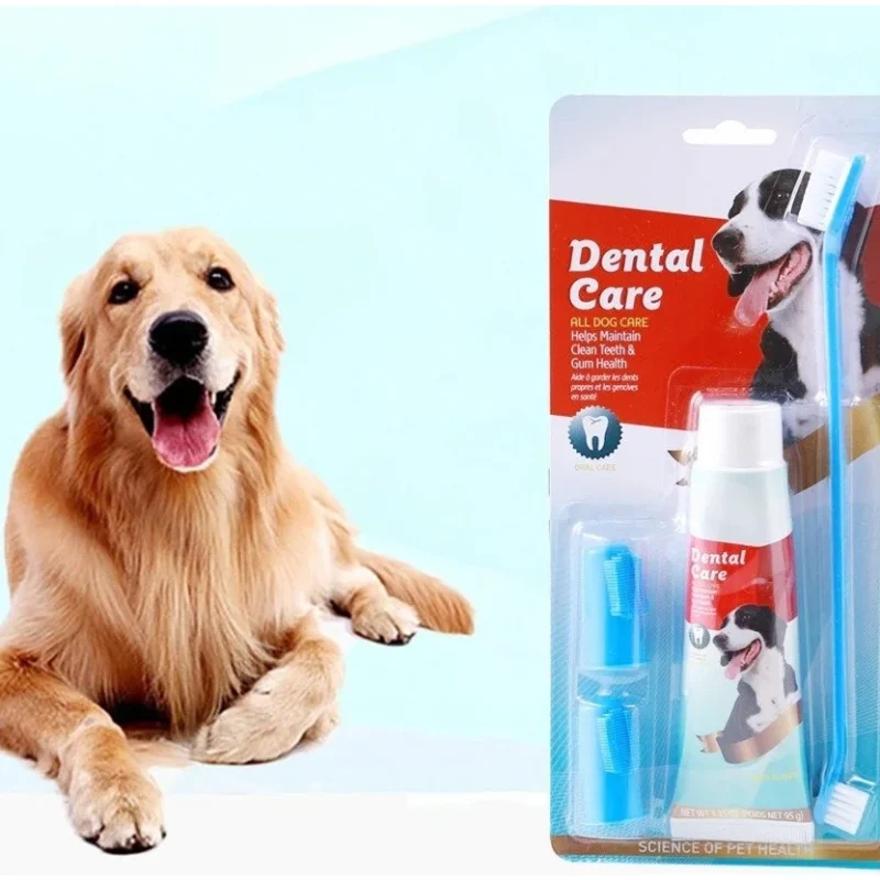 Set dental